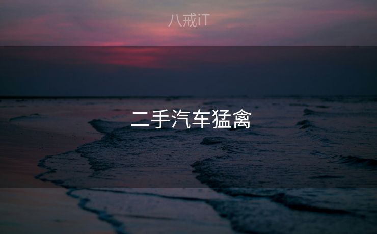  二手汽车猛禽