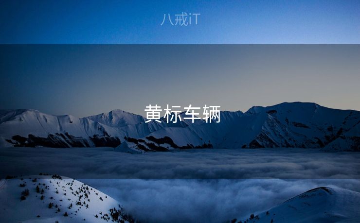  黄标车辆