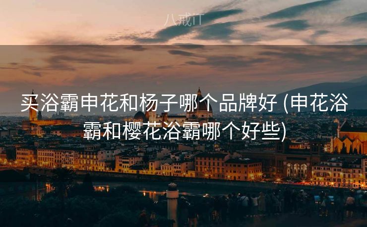 买浴霸申花和杨子哪个品牌好 (申花浴霸和樱花浴霸哪个好些)