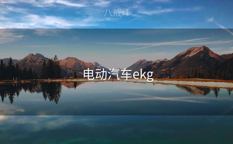  电动汽车ekg