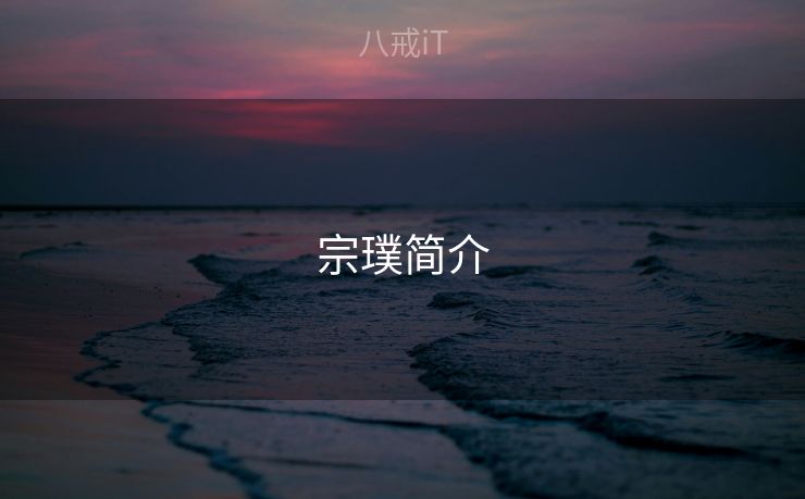 宗璞简介
