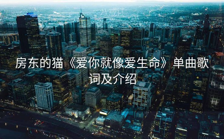 房东的猫《爱你就像爱生命》单曲歌词及介绍