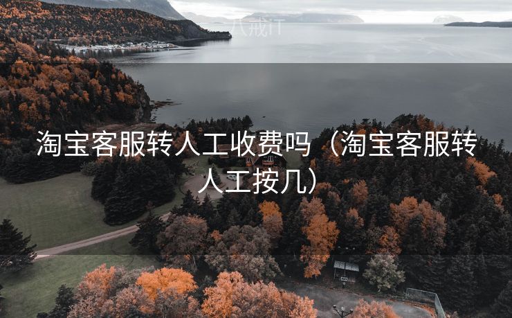 淘宝客服转人工收费吗（淘宝客服转人工按几）