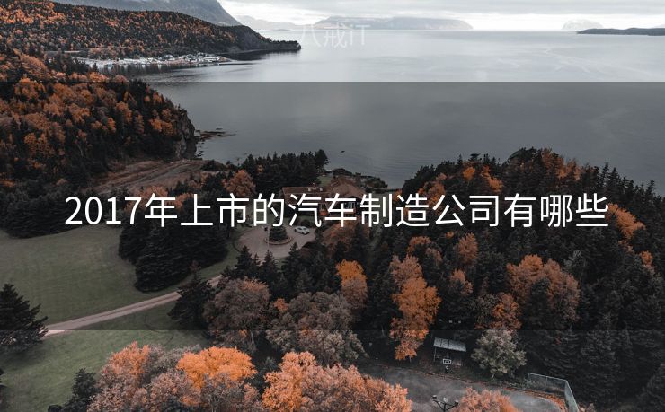  2017年上市的汽车制造公司有哪些