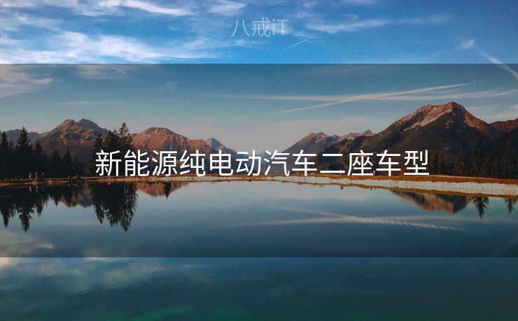  新能源纯电动汽车二座车型