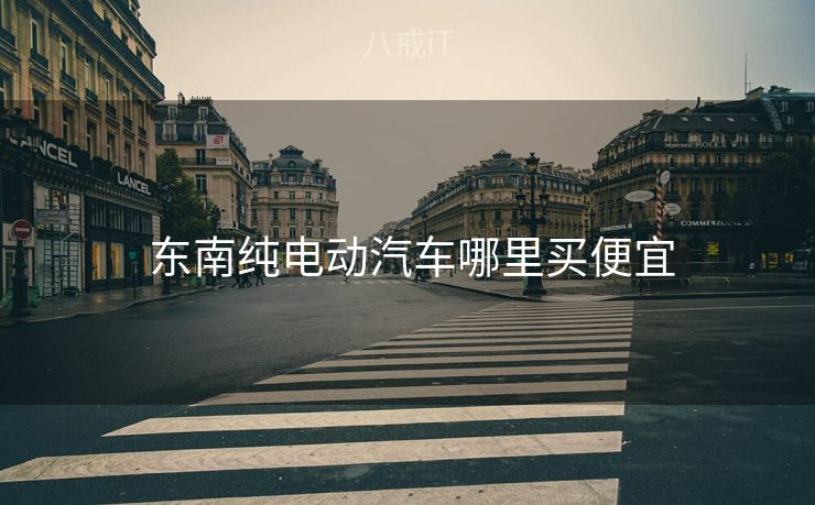 东南纯电动汽车哪里买便宜
