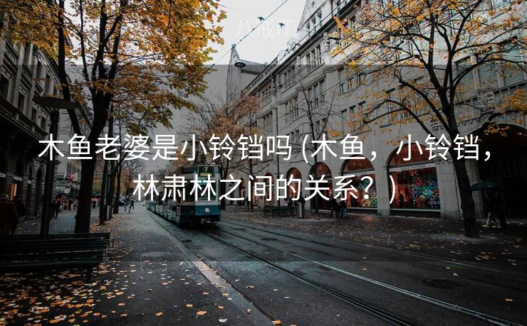 木鱼老婆是小铃铛吗 (木鱼，小铃铛，林肃林之间的关系？)