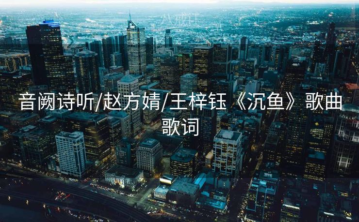 音阙诗听/赵方婧/王梓钰《沉鱼》歌曲歌词