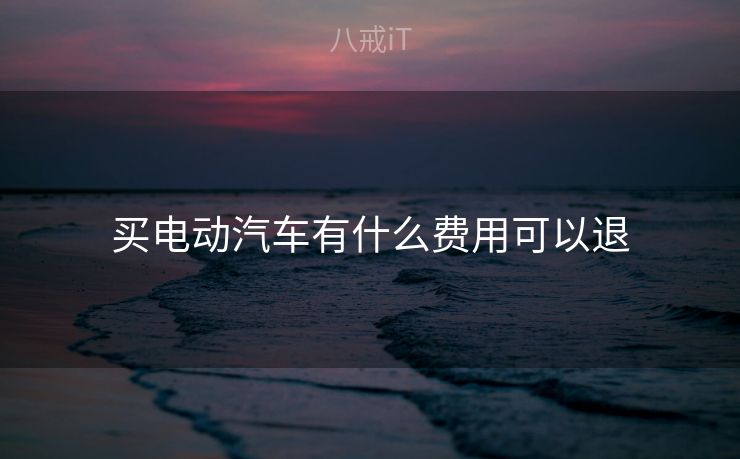 买电动汽车有什么费用可以退