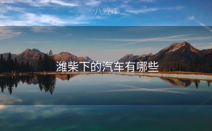  潍柴下的汽车有哪些
