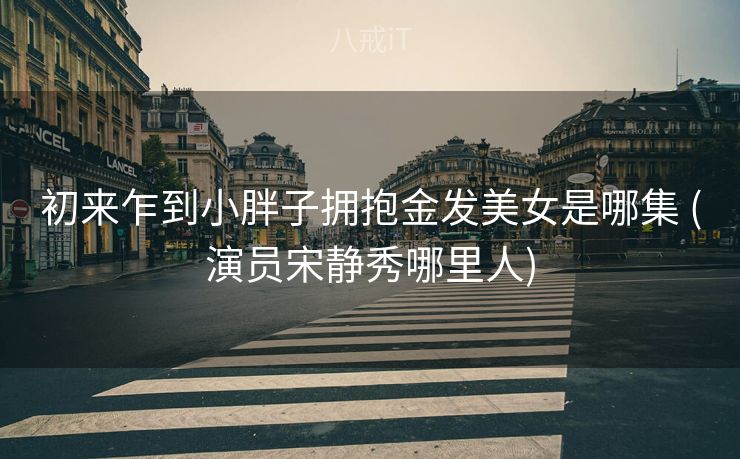 初来乍到小胖子拥抱金发美女是哪集 (演员宋静秀哪里人)