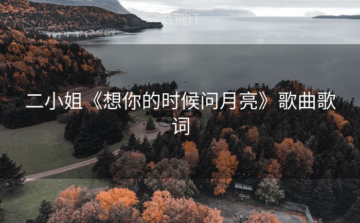 二小姐《想你的时候问月亮》歌曲歌词