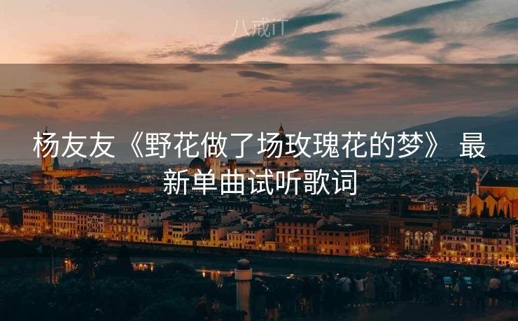 杨友友《野花做了场玫瑰花的梦》 最新单曲试听歌词
