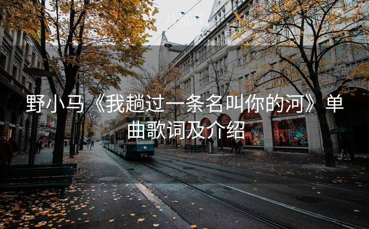野小马《我趟过一条名叫你的河》单曲歌词及介绍
