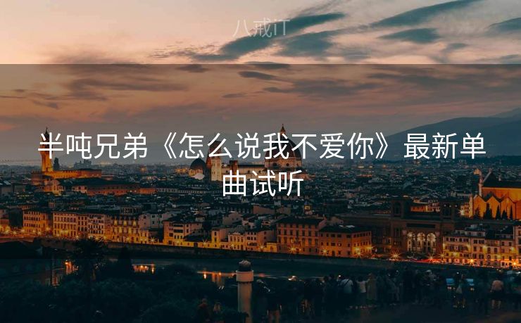 半吨兄弟《怎么说我不爱你》最新单曲试听
