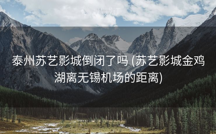 泰州苏艺影城倒闭了吗 (苏艺影城金鸡湖离无锡机场的距离)