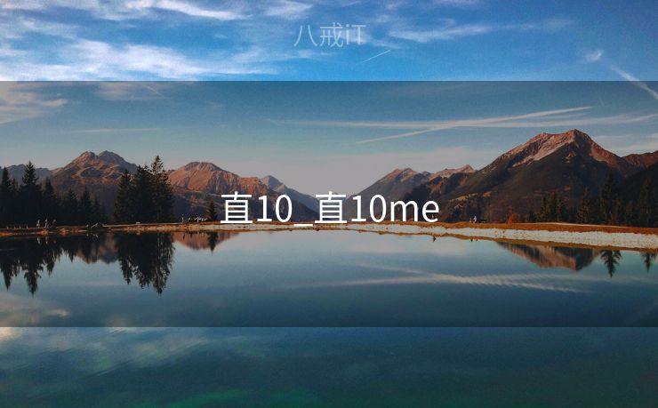 直10_直10me