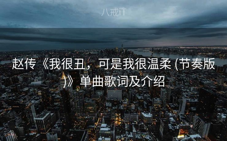 赵传《我很丑，可是我很温柔 (节奏版)》单曲歌词及介绍
