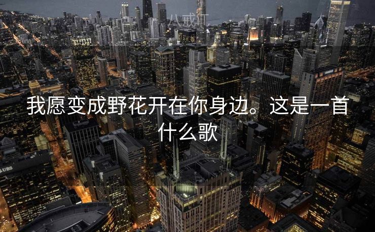我愿变成野花开在你身边。这是一首什么歌