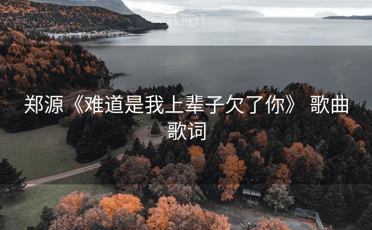 郑源《难道是我上辈子欠了你》 歌曲歌词