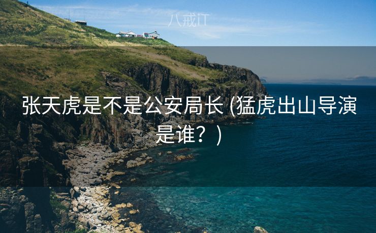 张天虎是不是公安局长 (猛虎出山导演是谁？)