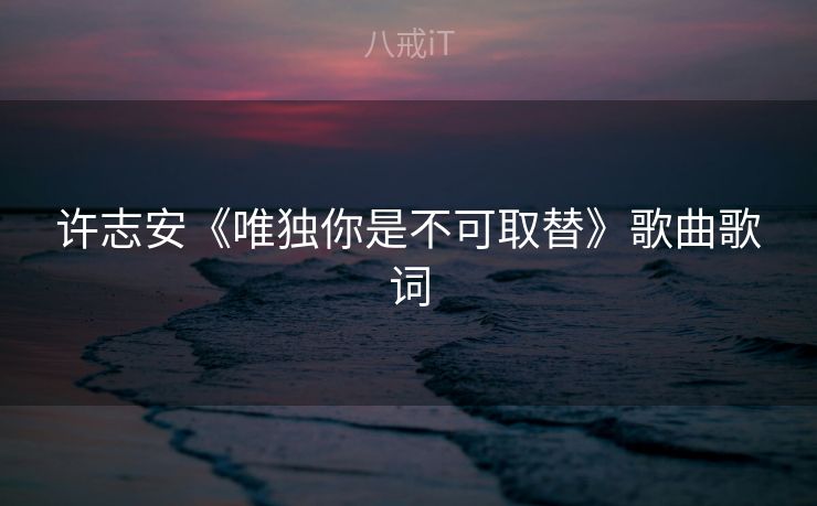 许志安《唯独你是不可取替》歌曲歌词
