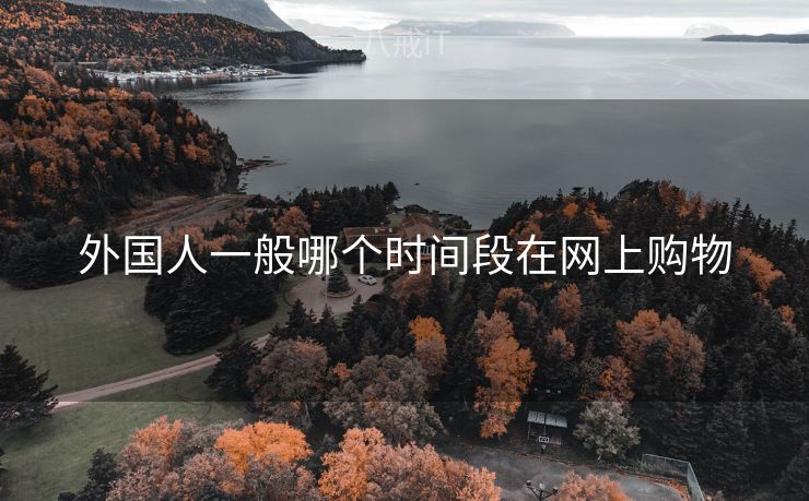外国人一般哪个时间段在网上购物