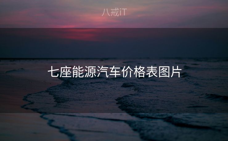 七座能源汽车价格表图片