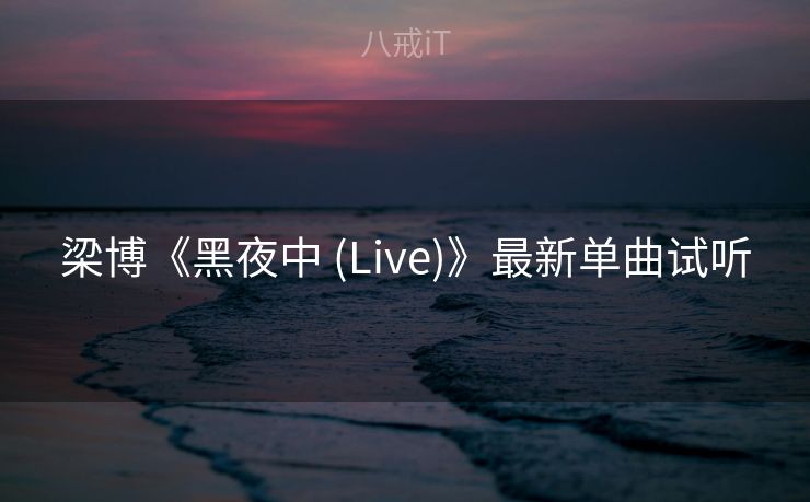 梁博《黑夜中 (Live)》最新单曲试听