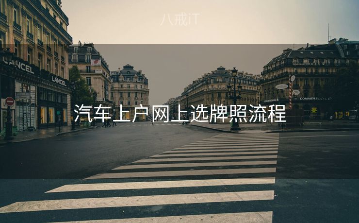 汽车上户网上选牌照流程
