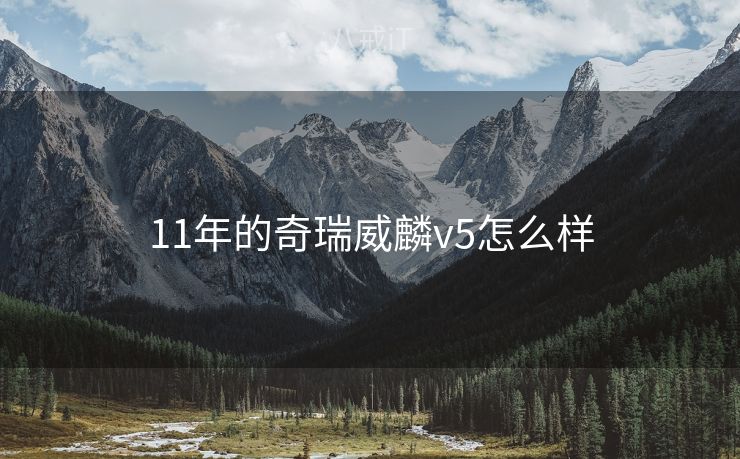 11年的奇瑞威麟v5怎么样