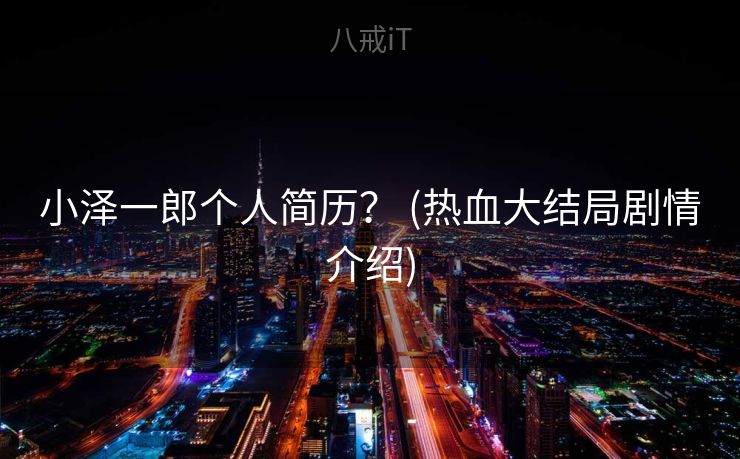 小泽一郎个人简历？ (热血大结局剧情介绍)