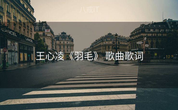 王心凌《羽毛》 歌曲歌词