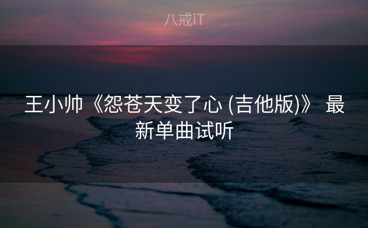 王小帅《怨苍天变了心 (吉他版)》 最新单曲试听