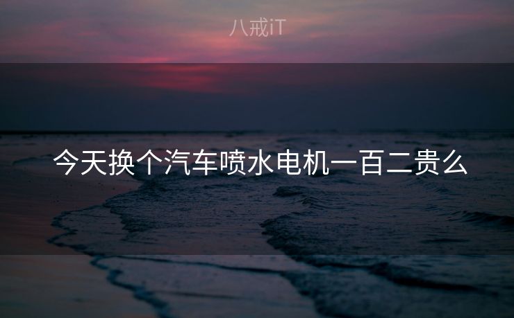  今天换个汽车喷水电机一百二贵么