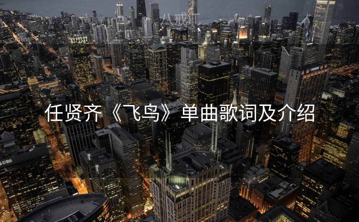 任贤齐《飞鸟》单曲歌词及介绍