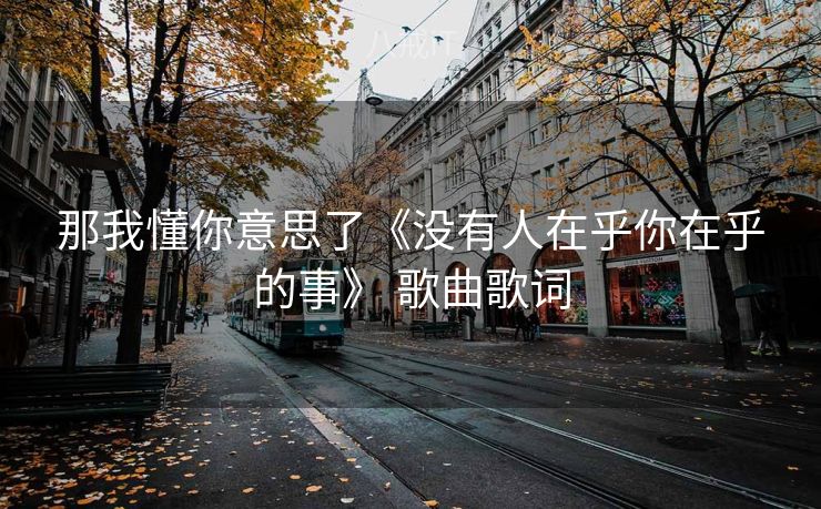 那我懂你意思了《没有人在乎你在乎的事》 歌曲歌词