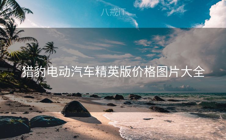 猎豹电动汽车精英版价格图片大全