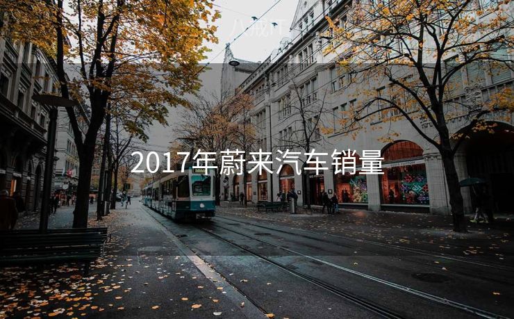 2017年蔚来汽车销量