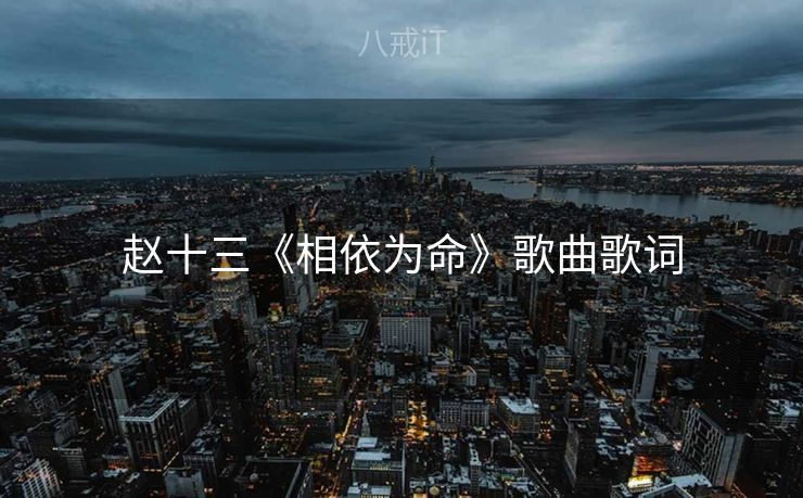 赵十三《相依为命》歌曲歌词