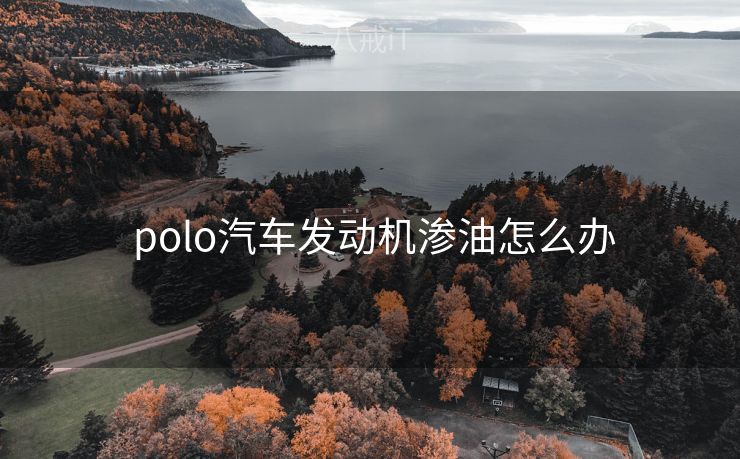  polo汽车发动机渗油怎么办