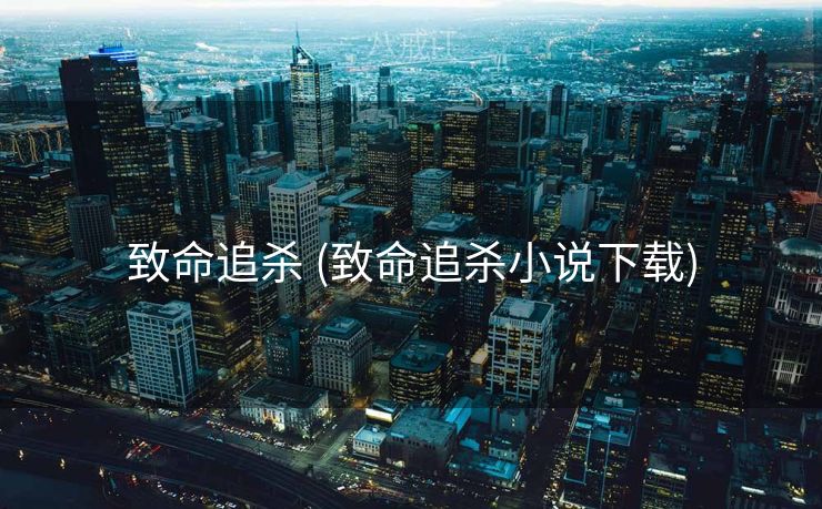 致命追杀 (致命追杀小说下载)