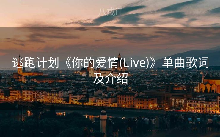 逃跑计划《你的爱情(Live)》单曲歌词及介绍
