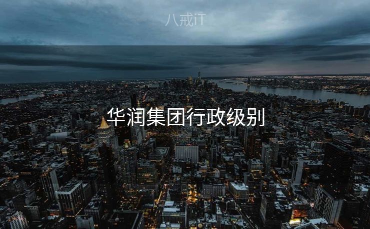 华润集团行政级别