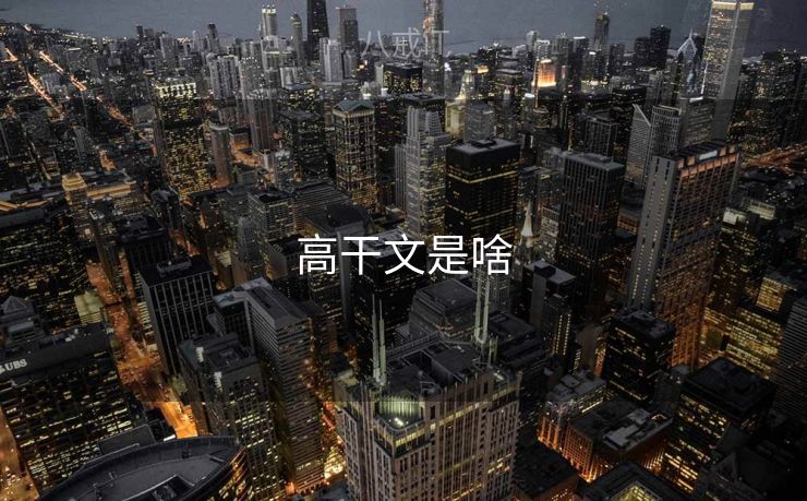 高干文是啥