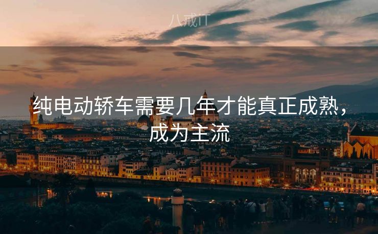 纯电动轿车需要几年才能真正成熟，成为主流