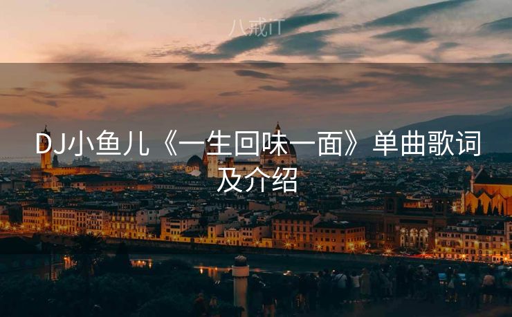 DJ小鱼儿《一生回味一面》单曲歌词及介绍