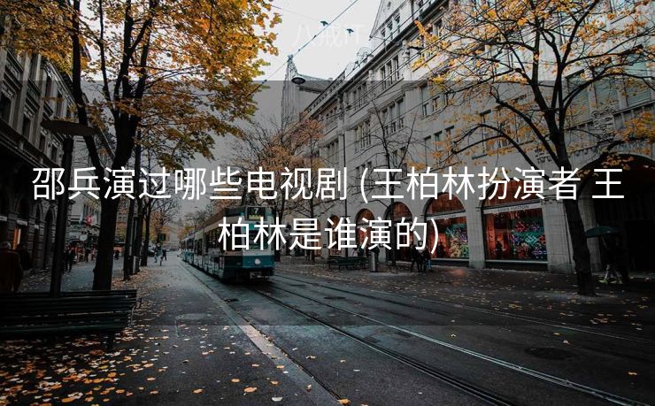 邵兵演过哪些电视剧 (王柏林扮演者 王柏林是谁演的)