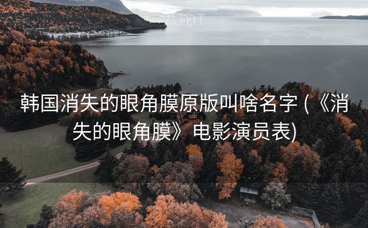 韩国消失的眼角膜原版叫啥名字 (《消失的眼角膜》电影演员表)