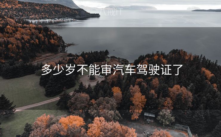  多少岁不能审汽车驾驶证了